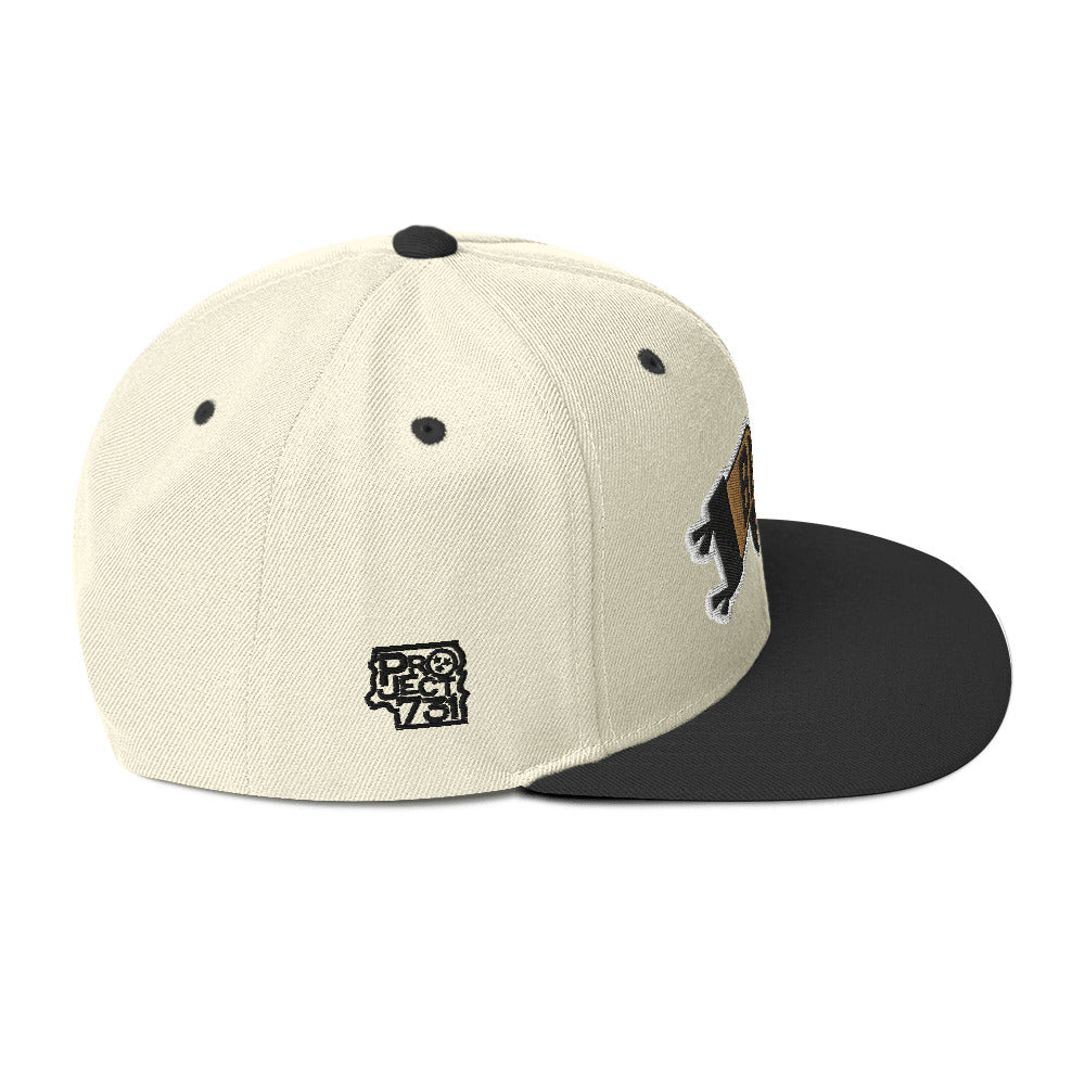 Wave the Flag Snapback Hat