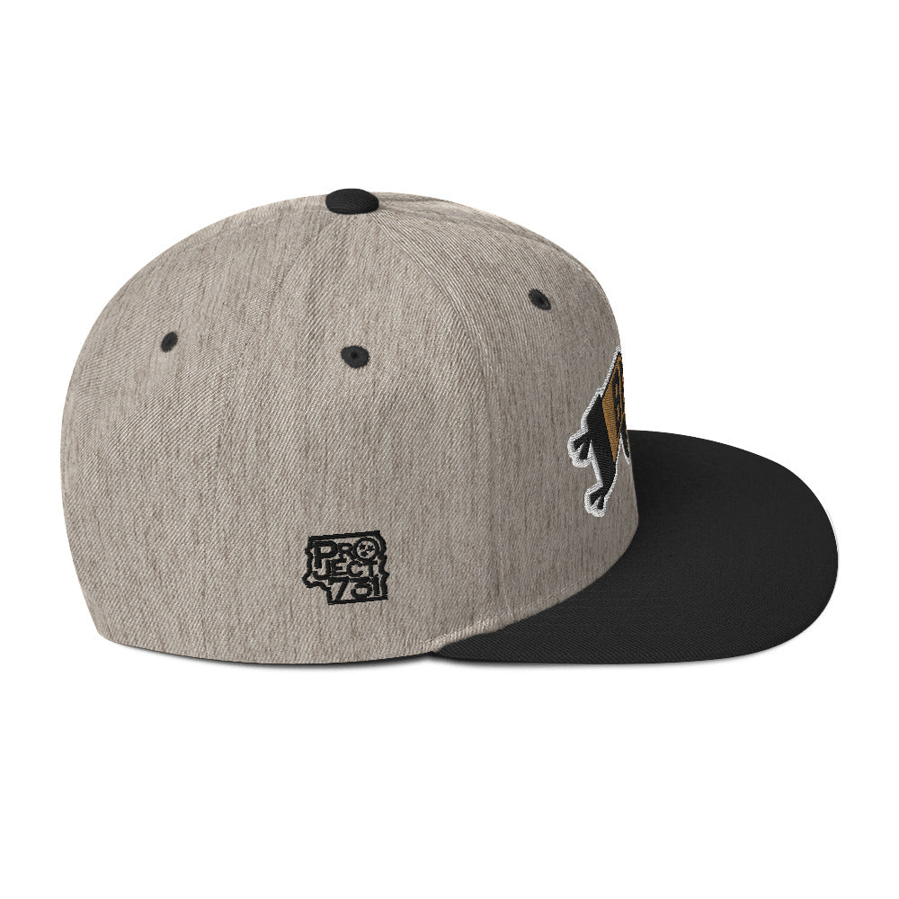Wave the Flag Snapback Hat