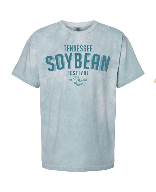 TENNESSEE SOYBEAN Colorblast tee